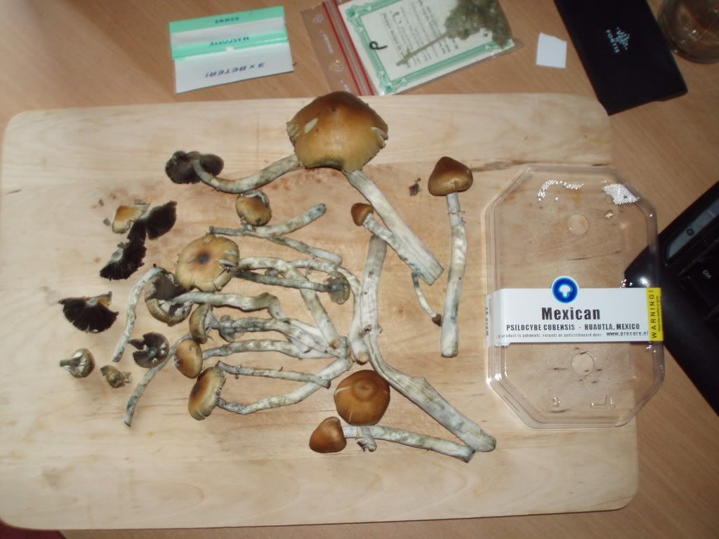 legit eerste keer escorteren drugs legit eerste keer escorteren drugs