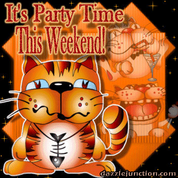 weekend-party-cat-dj.gif