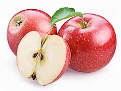 5 Best Foods For Weight Loss