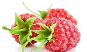Raspberry Ketone Superfood To Lose Weight