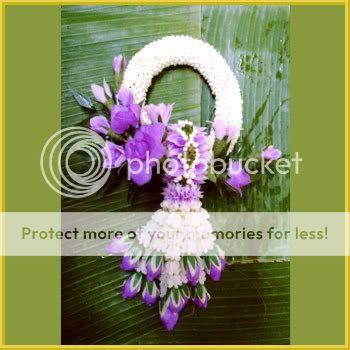 Description  Crown Flower, Giant Indian Milkweed, Gigantic Swallow 