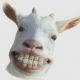 th_smallgoat.jpg
