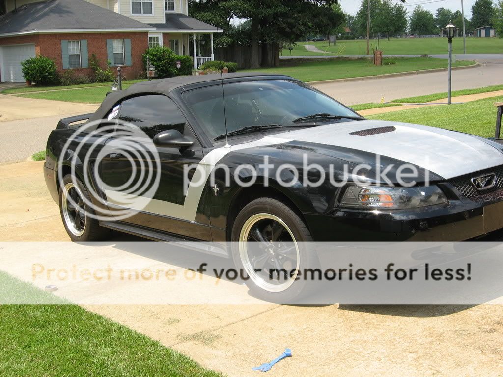 00 mustang paint job - MustangForums.com