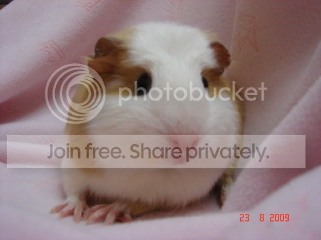 DSC02642.jpg