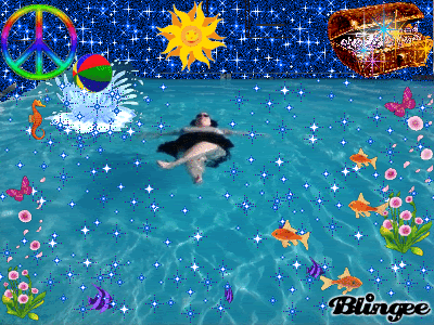 SummerFun.gif